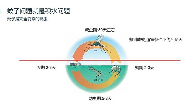 蚊子,灭蚊,别墅客户,怎么灭蚊子,美汐环境